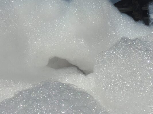 Organic Foam Concentrate - Extra Foamy - 5 Gallons