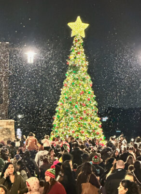 Planning a Snowy Christmas: Tips for Successful Snow Machine Rentals