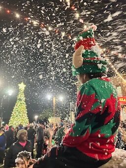 Texas Snow Machine Rental