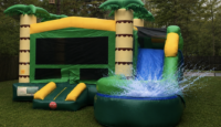 palm tree water slide