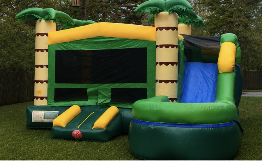 palm tree bounce house